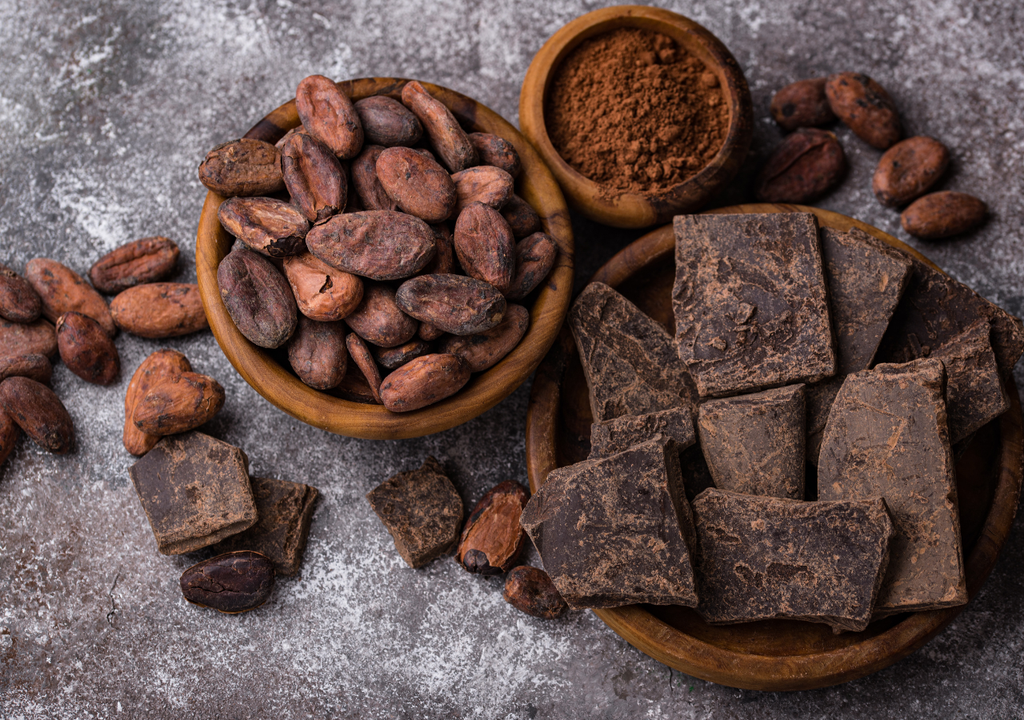 Del balcón a la tableta: cultiva tu propio árbol de cacao en la ciudad